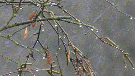 Schneeregen